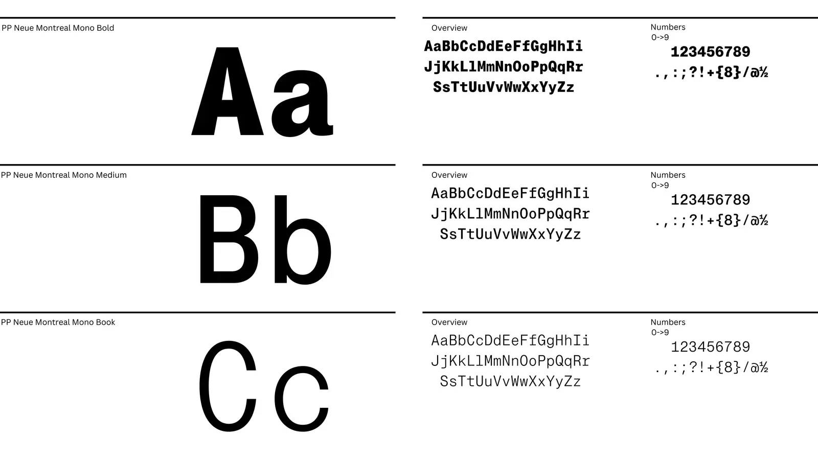 Brand identity: typeface specimen